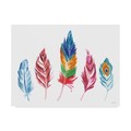 Trademark Fine Art Farida Zaman 'Rainbow Feathers Iv' Canvas Art, 18x24 WAP04211-C1824GG